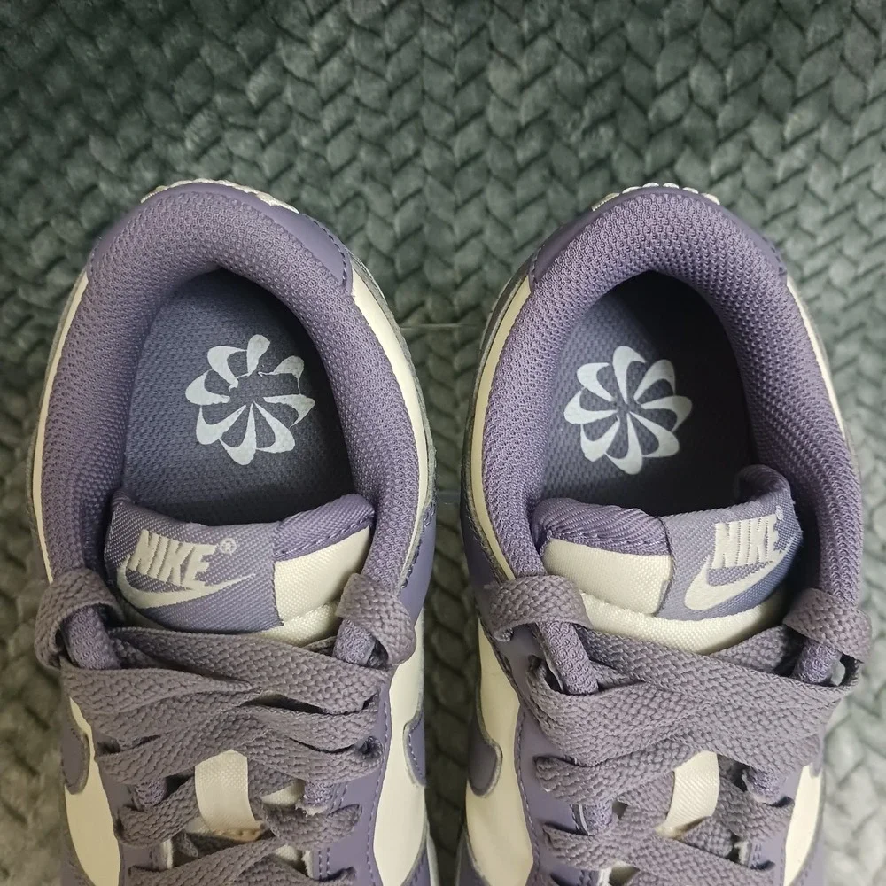 Nike Dunk Low Next Nature Daybreak Women's Sneakers Shoes FZ4349-100 Size 5.5